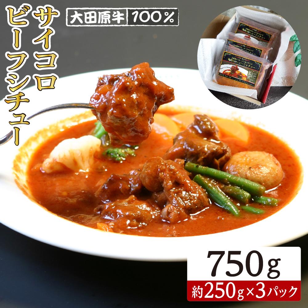 大田原牛 100% サイコロビーフシチュー 3パックセット | レトルト シチュー 和牛 牛肉 ビーフ 高級 | 食品 おかず 加工食品 洋風 人気 おすすめ 送料無料