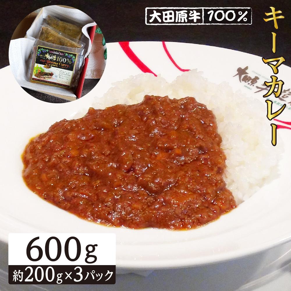 大田原牛 100% キーマカレー 3パックセット | レトルト カレー 和牛 牛肉 高級