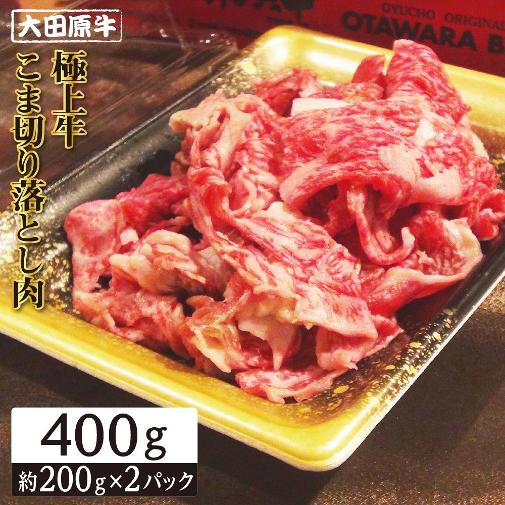 【ふるさと納税】牛肉 大田原牛 極上 小間切り落し 400g ( 200g × 2P ) | 肉 お肉 にく 切り落し 切りおとし こま切れ 細切れ 最高級 和牛 冷凍 お取り寄せ グルメ