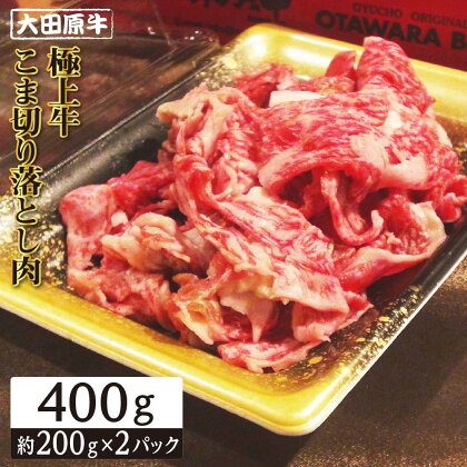 牛肉 大田原牛 極上 小間切り落し 400g ( 200g × 2P ) | 肉 お肉 にく 切り落し 切りおとし こま切れ 細切れ 最高級 和牛 冷凍 お取り寄せ グルメ