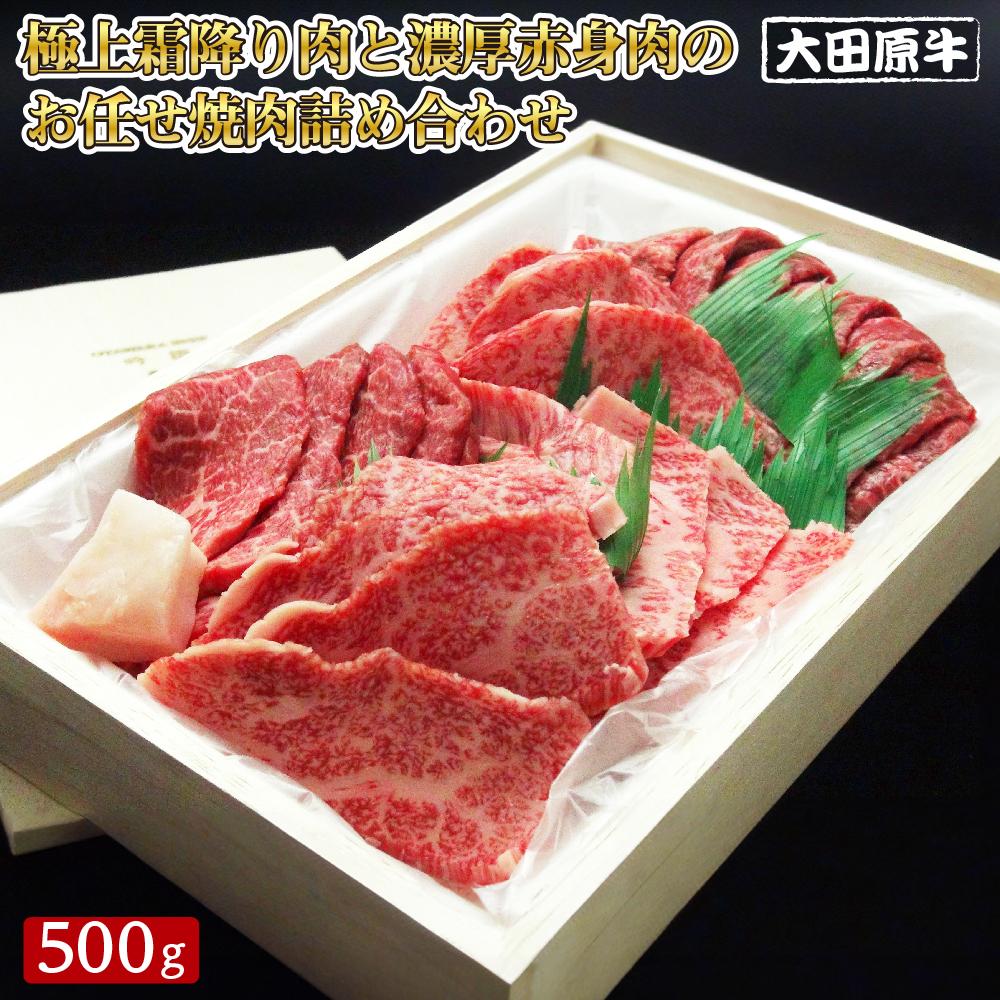 大田原牛 極上 霜降り肉と濃厚赤身肉のお任せ 焼肉 詰め合わせ（500g）| ブランド牛 和牛 牛肉 霜降り 赤身 食べ比べ 高級