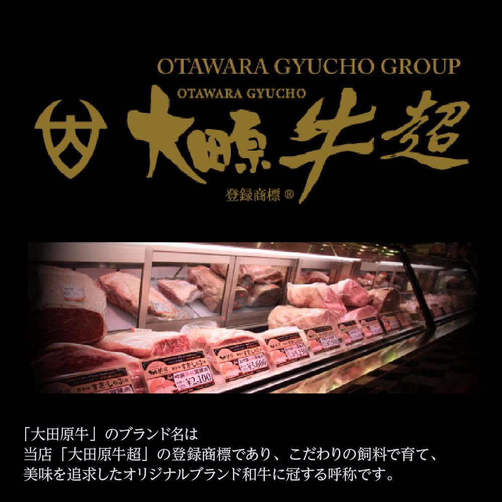 【ふるさと納税】牛肉 大田原牛 極上 小間切り落し 400g ( 200g × 2P ) | 肉 お肉 にく 切り落し 切りおとし こま切れ 細切れ 最高級 和牛 冷凍 お取り寄せ グルメ