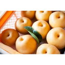 【ふるさと納税】【先行受付】≪9〜10月発送≫乙連沢梨園(阿久津さん)梨ギフト 豊水 4.5kg 箱 | フルーツ 果物 くだもの 食品 人気 おすすめ 送料無...