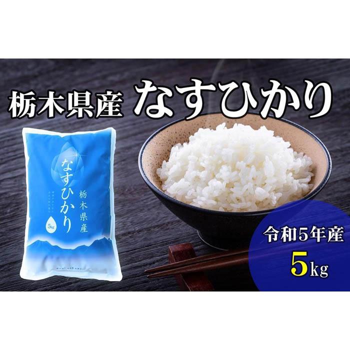 令和5年産 栃木県産 なすひかり 5kg JAなすの産地直送 [大田原市・那須塩原市・那須町共通返礼品]