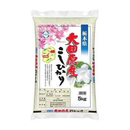 【令和5年産】　大田原産コシヒカリ　5kg | お米 こめ 白米 食品 人気 おすすめ 送料無料