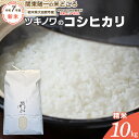 【ふるさと納税】【令和7年産 新米 先行予約受付】ツキノワのコシヒカリ 精米 10kg |お米 白米 ご飯 コメ 栃木県 大田原市 | お米 こめ 白米 食品 人気 おすすめ 送料無料