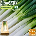 【ふるさと納税】与一ねぎ 2Lサイズ(27本) |野菜 ネギ 農家直送 産地直送 産直 大田原ブランド 栃木県 大田原市 | ねぎ ネギ 野菜 人気 おすすめ 送料無料