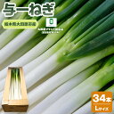 【ふるさと納税】与一ねぎ Lサイズ(34本) |野菜 ネギ 農家直送 産地直送 産直 大田原ブランド 栃木県 大田原市 | ねぎ ネギ 野菜 人気 おすすめ 送料無料