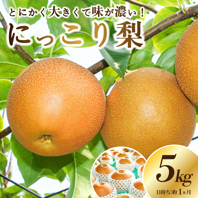 【ふるさと納税】＜2025年10月上旬～発送開始＞JAなすの産　梨　にっこり　5kg 【栃木県共通返礼品】のサムネイル