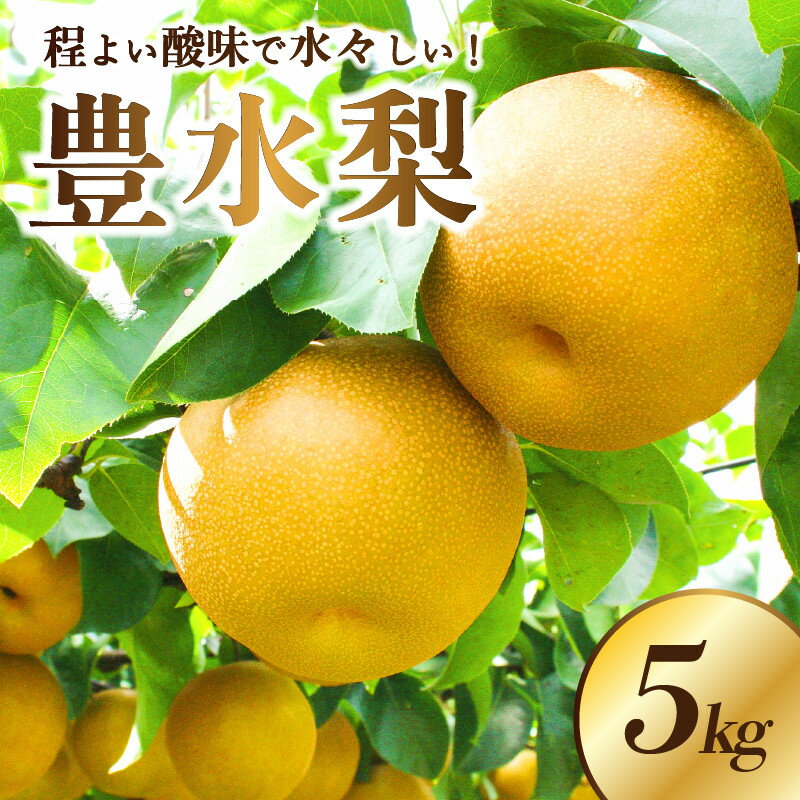 【ふるさと納税】＜2025年9月上旬～発送開始＞JAなすの産　梨　豊水　5kg 【栃木県共通返礼品】 | フルーツ 果物 くだもの 食品のサムネイル