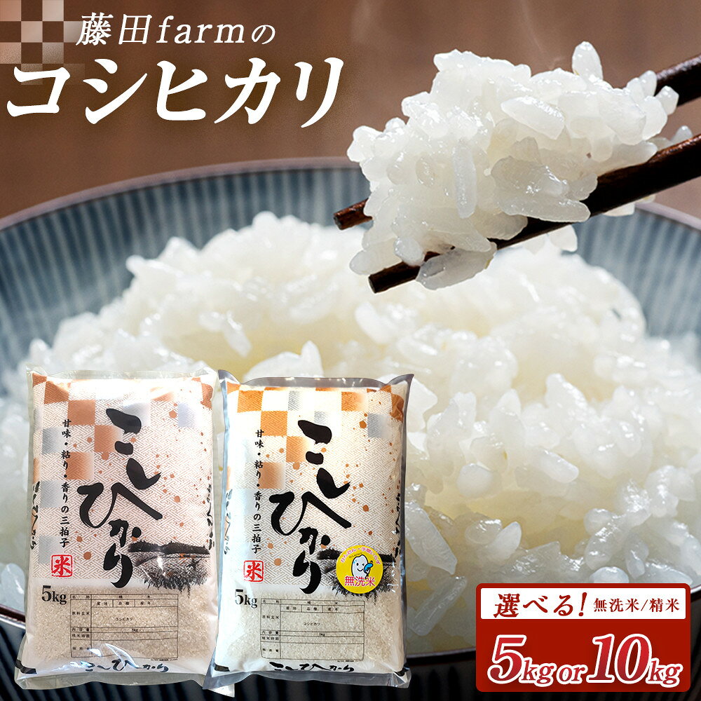 [選べる容量&種類]令和7年産 大田原市 藤田farmのコシヒカリ 5kg 又は10kg 精米又は無洗米|米 お米 新米 コメ こしひかり 栃木県 大田原市 数量限定
