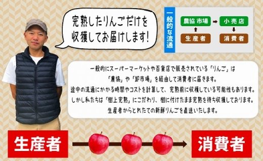 【ふるさと納税】[先行予約／11月下旬より順次お届け] 樹上完熟「葉取らずサンふじ」5キロ｜矢板市産 リンゴ 林檎 フルーツ スイーツ 果実 果物 産地直送 加藤農園 [0395]