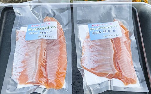 【ふるさと納税】栃木県のブランド魚「プレミアムヤシオマス」の刺身(生食用) 4、5人前｜鮮魚 鱒 [0354]