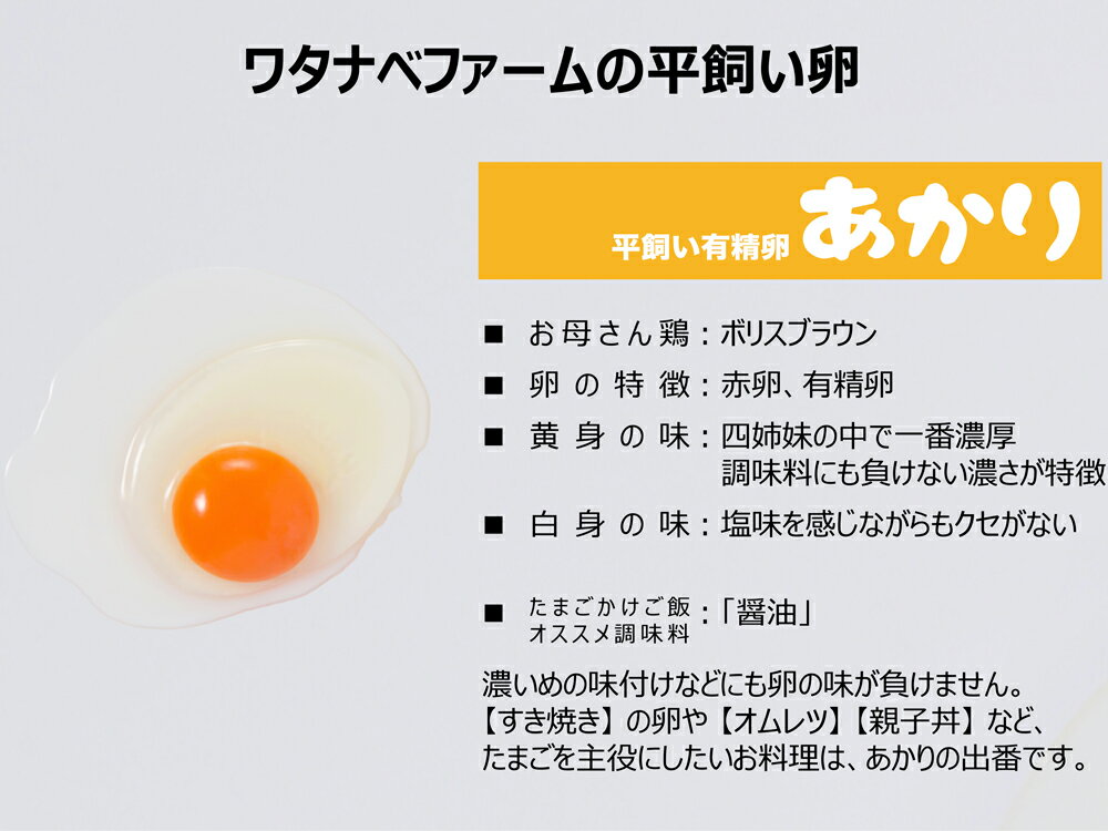 【ふるさと納税】[平飼い有精卵30個×3か月連続定期便] ガツンとインパクトのある濃厚な黄身【平飼い有精卵あかり】｜矢板市産 こだわり卵 たまご 玉子 生卵 鶏卵 [0433]