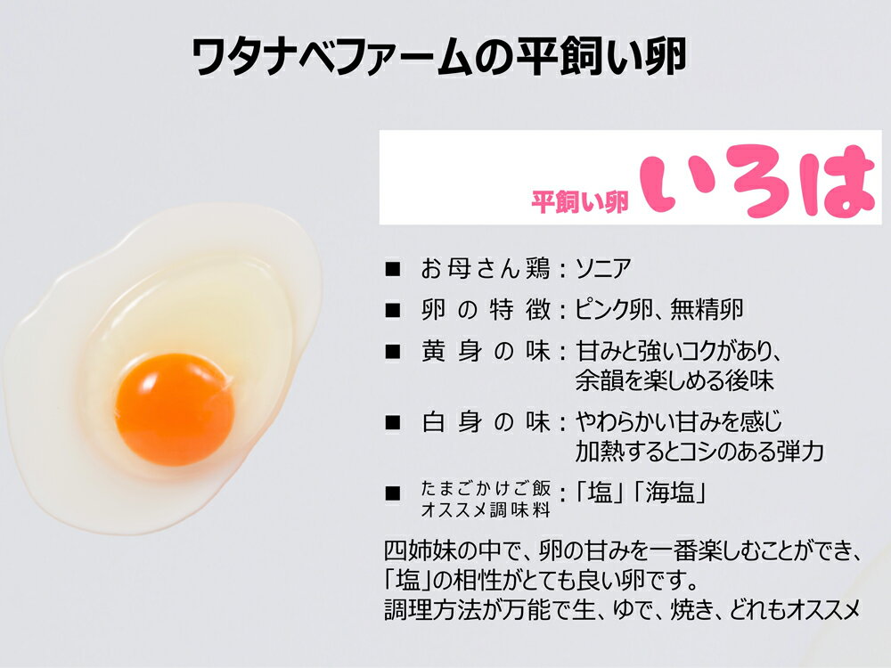 【ふるさと納税】[平飼い卵30個×3か月連続定期便] 全体的に甘みとコクのある黄身【平飼い卵いろは】｜矢板市産 こだわり卵 たまご 玉子 生卵 鶏卵 [0434]