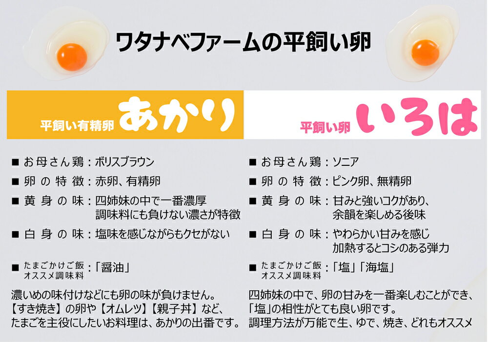 【ふるさと納税】[平飼い卵食べ比べ合計30個×3か月連続定期便] 平飼い有精卵あかり・平飼い卵いろは 各15個｜矢板市産 こだわり卵 たまご 玉子 生卵 鶏卵 [0435]