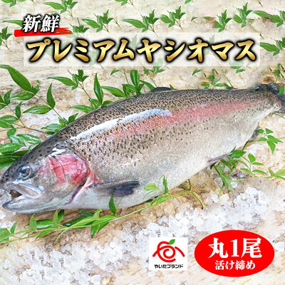 楽天ふるさと納税　【ふるさと納税】栃木県のブランド魚「プレミアムヤシオマス」丸1尾 新鮮 活け締め｜鮮魚 鱒 国産 産地直送 [0355]