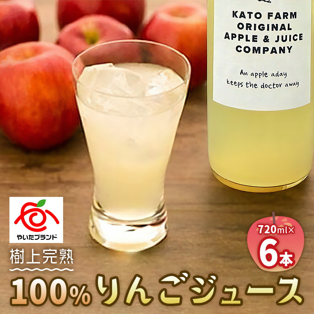 35位! 口コミ数「0件」評価「0」栃木県矢板市産 樹上完熟100％りんごジュース 720ml×6本入｜林檎 リンゴ 果汁100% 産地直送 [0419]