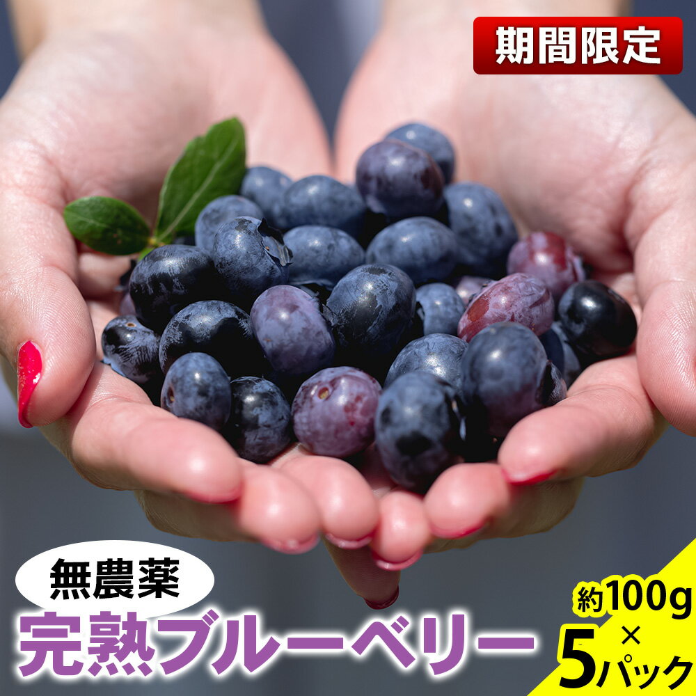 [期間限定] 無農薬 完熟ブルーベリー 約100g×5パック [6月中旬より順次発送]|栃木県産 矢板市産 フルーツ スイーツ デザート 果物 果実 産地直送 [0453]