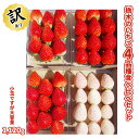 【ふるさと納税】[訳あり] 栃木のいちご4品種食べ比べセット【小玉ですが大容量1120g】｜とちあい ...