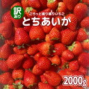 6位! 口コミ数「0件」評価「0」[訳あり] ごろっと盛り盛りいちご『とちあいか』2000g｜いちご 苺 フルーツ 果物 スイーツ 産地直送 [0539]