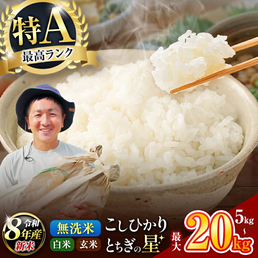 【ふるさと納税】選べる 限定 品気 大人気 楽天限定 こしひかり とちぎの星 2026年 令和8年 コシヒカリ 5kg 10kg 20kg 2P 3P | 先行予約 お米 米 こめ 白米 玄米 産地直送 美味しい おいしい お弁当 リピート リピ 農家直送 栃木県産 矢板市産 栃木県 矢板市 備蓄 米