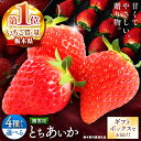 【ふるさと納税】【選べるギフトボックス】【栃木県共通返礼品】楽天限定! 選べる贈答用とちあいか <2025年12月から2026年3月までの期間で収穫・順次発送予定>|選べる 贈答用 先行予約 美味しい ご褒美 苺 果物 イチゴ 甘い スイーツ 先行予約 とちあいか 栃木県 矢板市