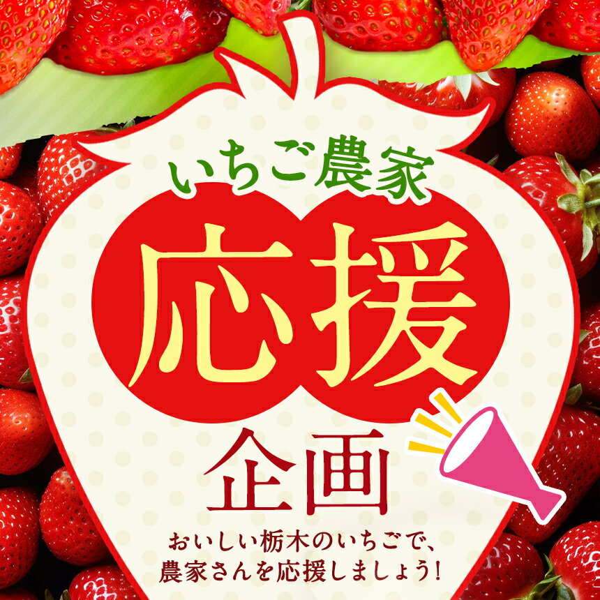 【ふるさと納税】 日本No.1 いちご 生産量 栃木 人気 | 選べる 内容量 発送回数 用途 | 栃木限定 とちあいか 500g ~ 2kg 先行予約 定期便 2回 3回｜旬 訳あり 家庭用 オススメ フルーツ 果物 果実 産地直送 栃木県 矢板市 栃木県共通返礼品 ichigo ストロベリー 期間限定