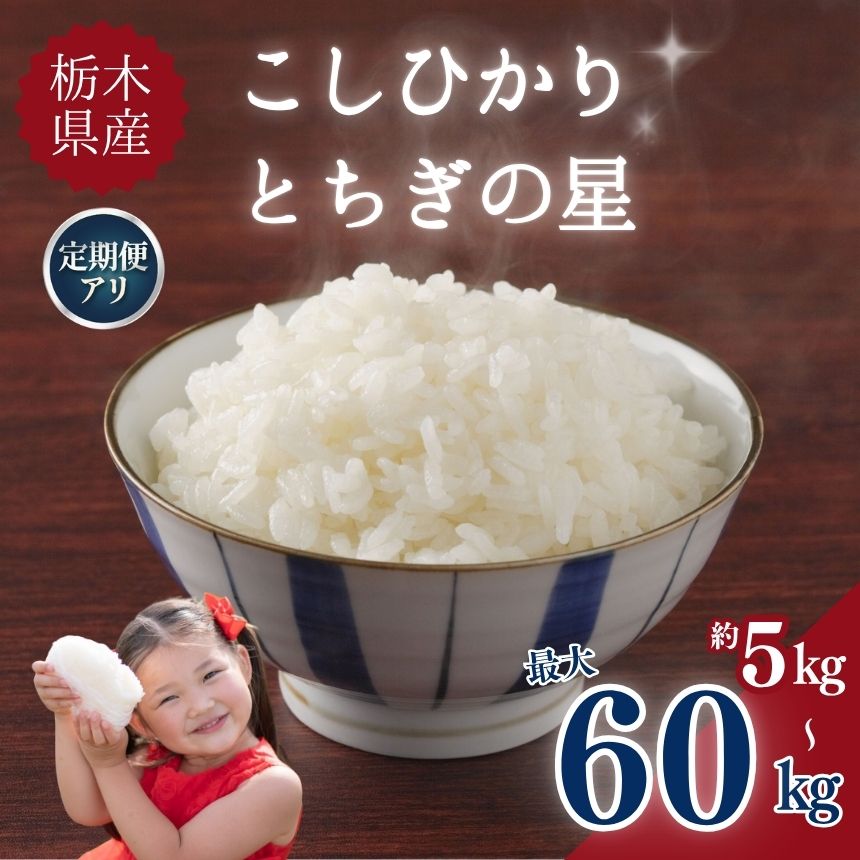 白米 選べる 定期便 こしひかり コシヒカリ とちぎの星 令和7年 | [ 数量 ] [ 発送回数 ]栃木県産 5kg 10kg 定期便 3回 6回| お米 米 こめ ご飯 美味しい ふるさと 栃木県 矢板市 [栃木県共通返礼品] ブランド米