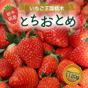 【ふるさと納税】[先行予約・秘密にしたい美味しさ] 朝獲れ新鮮とちおとめ 1120g [12月上旬より順次発送予定]｜いちご 苺 フルーツ 果物 産地直送 [0356]