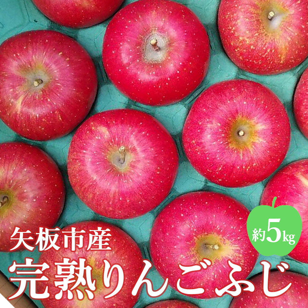 【ふるさと納税】[先行予約／数量限定] 矢板市産完熟りんご 