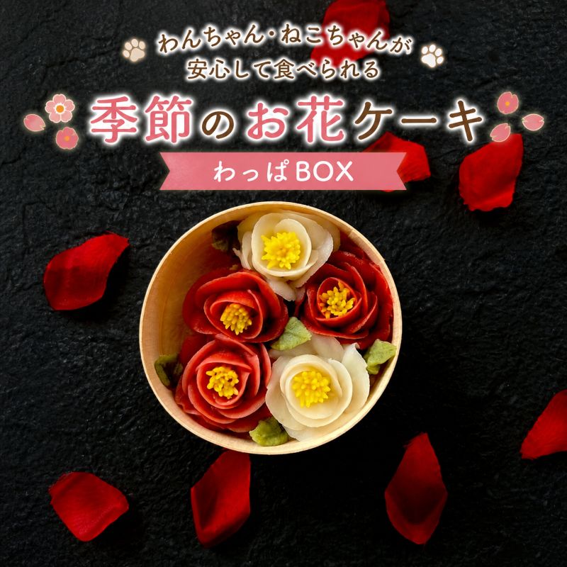 【ふるさと納税】ペット用 ケーキ カップケーキ わっぱ BOX わんちゃん・ねこちゃんが安心して食べ ...