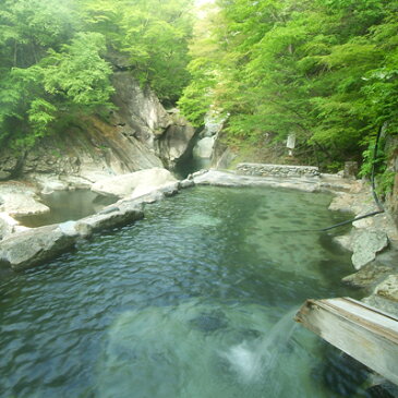 【ふるさと納税】【有効期限延長中】塩原温泉宿泊券ペア1泊2食(竹コース)【1001057】