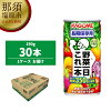 【ふるさと納税】カゴメ 野菜一日これ一本 長期保存用 190g缶×30本【 飲料 野菜ジ...