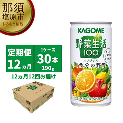 【定期便12ヵ月】カゴメ　野菜生活100　オリジナル　190g缶×30本 1ケース 毎月届く 12ヵ月 12回コース【190g　30本　20種類の野菜　3種類の果実　野菜果実ミックスジュース　 栃木県 那須塩原市 】