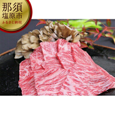 【ふるさと納税】那須野ヶ原和牛 旨味の霜降り焼肉500g 約3～5人前 【もも 肩 焼肉用 サッパリ 閉鎖型牛舎 飼養管理 強制排気 500g 新鮮な空気 長年の感覚 テクノロジー 5人前 栃木県 那須塩原…