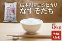 人気ランキング第5位「栃木県那須塩原市」口コミ数「0件」評価「0」【大田原市・那須塩原市・那須町共通返礼品】＜新米＞令和5年産　栃木県産　コシヒカリ　なすそだち　5kg JAなすの産地直送〈出荷時期:2023年9月中旬から順次発送～〉【 栃木県 那須塩原市 】