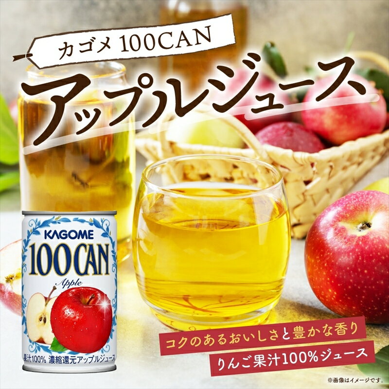 【ふるさと納税】 カゴメ 100CAN 160g × 6缶 濃縮還元 アップルジュース 100％ ジュース りんごジュース フルーツジュース 砂糖不使用 果汁 林檎 りんご アップル 飲料 かごめ ドリンク フルーツ 果物 お取り寄せ ギフト 差し入れ 缶ジュース KAGOME 送料無料 那須塩原市