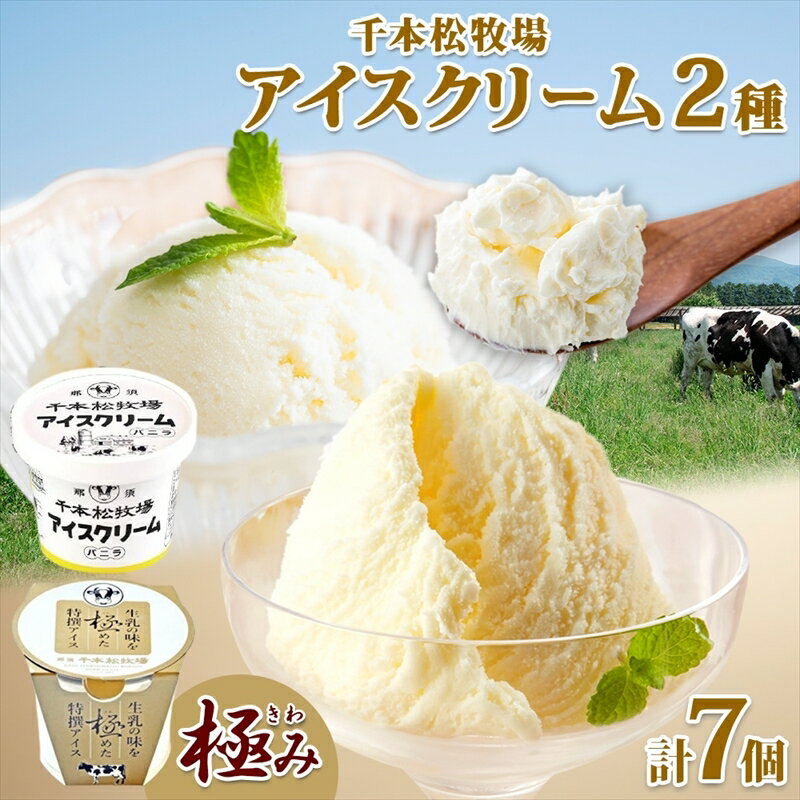 【ふるさと納税】 栃木県 千本松牧場 アイスクリーム2種 極