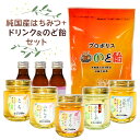 【ふるさと納税】 人気の純国産はちみつ5本+ドリンク&のど飴セット 栃木県 那須塩原市 調味料 飲料 のど飴 とち 山れんげ さくら 特選あかしや 天使のささや...