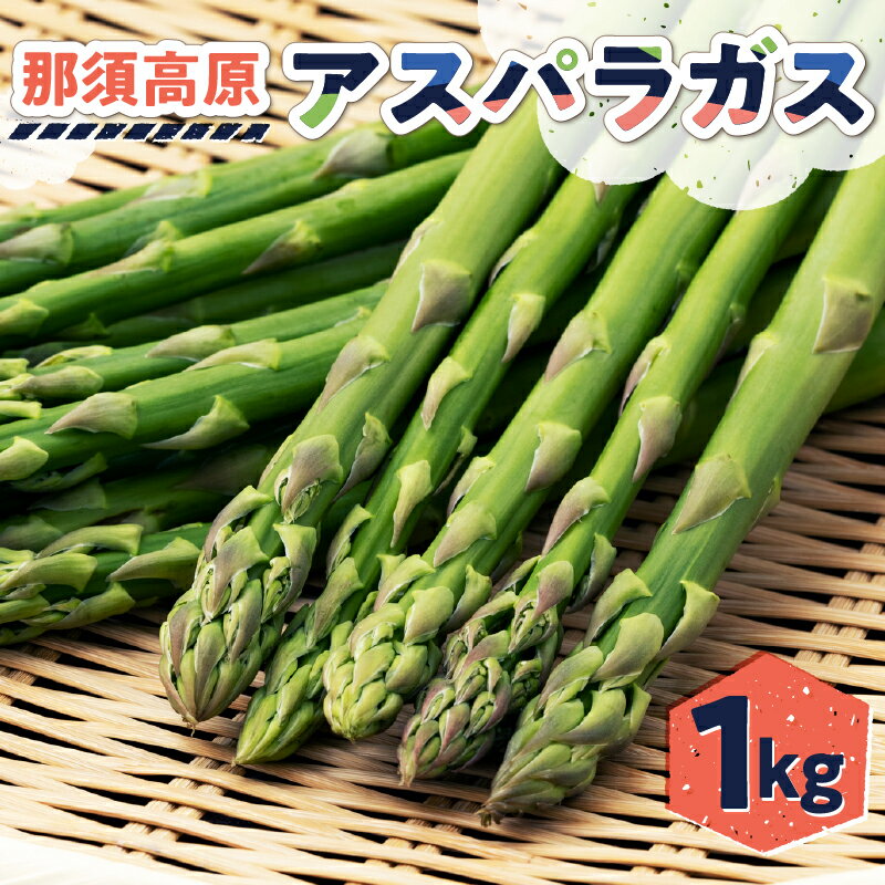【ふるさと納税】 那須高原アスパラガス 栃木県 那須塩原市 野菜 アスパラガス ビタミン 新鮮 アスパラ 朝どれ 旬 とれたて お取り寄せ グルメ 産地直送 春 青果 送料無料のサムネイル