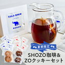 【ふるさと納税】夏季限定! SHOZO珈琲&ZOクッキーセット 栃木県 那須塩原市 コーヒー 水出しコーヒー 焼き菓子 スイーツ セット 期間限定 フルーティー...
