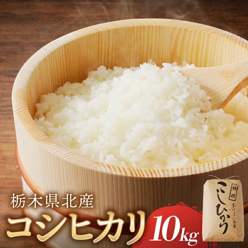 【ふるさと納税】【令和6年度産】栃木県北産コシヒカリ 10kg入【新米】栃木県 那須塩原市 米 お米 ブランド米 おにぎり ごはん 白米 国産米 コシヒカリ 食品 精米 送料無料のサムネイル