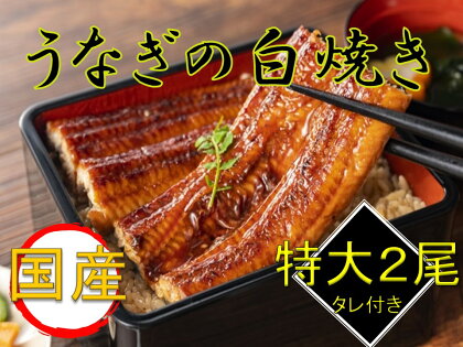 国産うなぎ白焼き2尾セット（たれ付き）◆≪鰻 ウナギ 国産 国内産 タレ ふっくら しらやき おうちごはん ご褒美≫※着日指定送不可