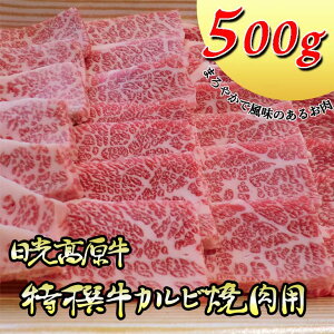 【ふるさと納税】日光高原牛特撰牛カルビ焼肉用500g入 肉 霜降り 焼肉 国産牛 グルメ 栃木県 送料無料