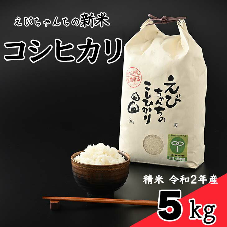 【ふるさと納税】えびちゃんちの新米　さくら市葛城産　5Kg　令和3年産 米 栃木県産...