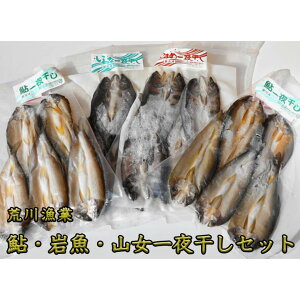 【ふるさと納税】荒川漁業 鮎・岩魚・山女一夜干しセット◇≪海鮮 魚介 おつまみ 贈り物 プレゼント ギフト 送料無料≫※着日指定不可