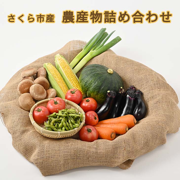 さくら市産の農産物詰め合わせ≪野菜 新鮮 国産 栃木県 送料無料≫