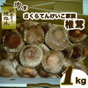 【ふるさと納税】肉厚しいたけ“さくらてんけいこ家族(規格外)”1kg シイタケ きのこ キノコ 野菜 送料無料