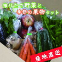 【ふるさと納税】売り切れ【産地直送】採りたて野菜と季節の果物セット 旬の野菜 フルーツ 詰め合わせ  ...